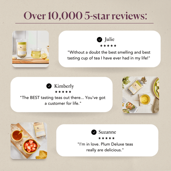 Just Elderberry Herbal Tea - Black Tai Salt Co.