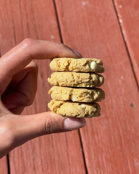 Pumpkin Spice Cookie Multipacks - Black Tai Salt Co.