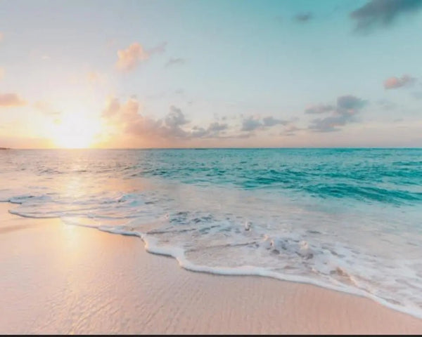 Seaside - Black Tai Salt Co.